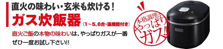 セックス ビデオ 無 修正​