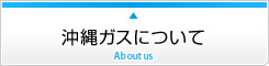 セックス ビデオ 無 修正​