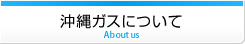 セックス ビデオ 無 修正​